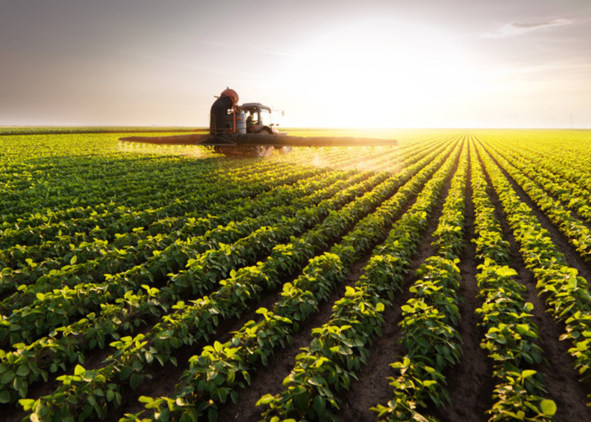 Canva Design DAHC63yq9j8