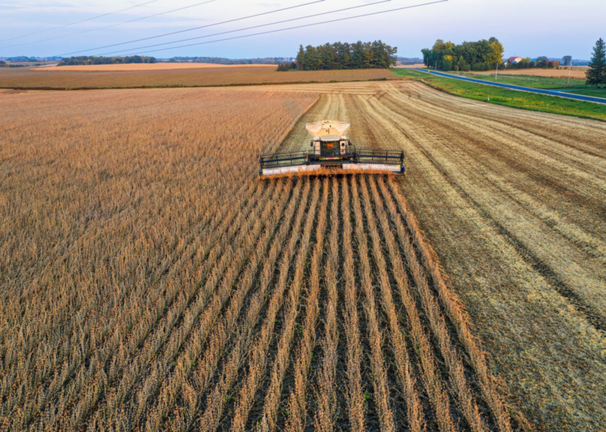 Canva Design DAHC6_0BW5U